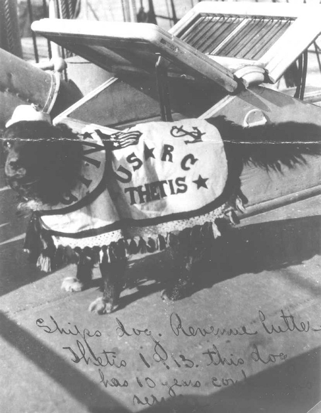 Thetis’s longtime ship’s mascot, who served during the years of Hawaiian patrols. (U.S. Coast Guard)